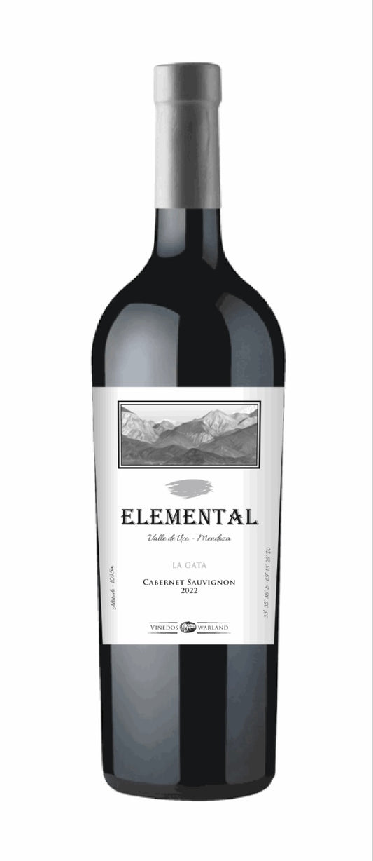 2022 Cabernet Sauvignon  🇦🇷